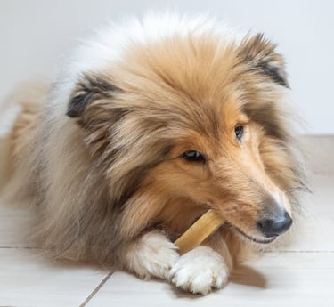 fromage de l'himalaya pour chien