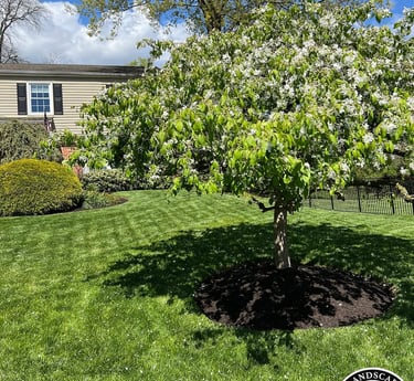 excellent landscaping and hardscaping of grass, stones and trees by NP Landscaping