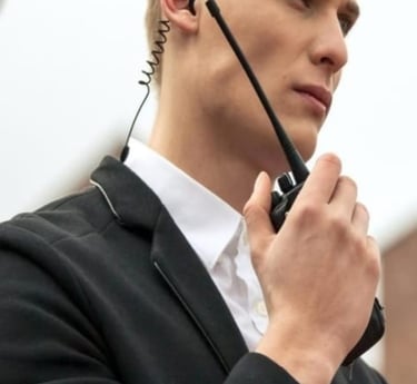 agent service sécurité rennes Bretagne recrutement agent ahtu de gamme premium seyf securité