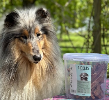 bâtonnets à mâcher pour chien