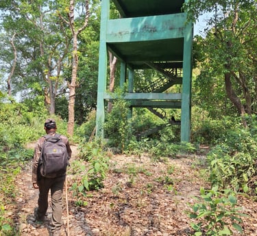 Daman near observation tour in Bardiya