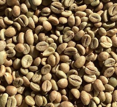 natural robusta green bean