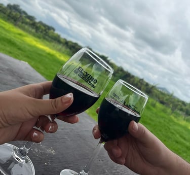 Copas de vino brindando en viñedo de Querétaro durante tour enológico