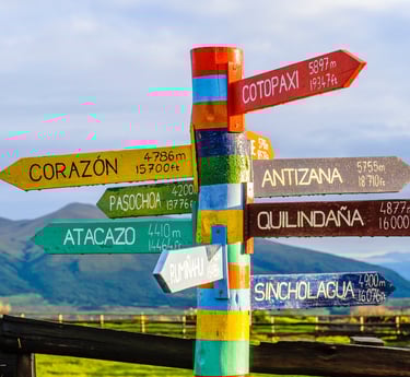 a pole with a bunch of signs on it