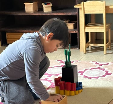 Montessori Blocks