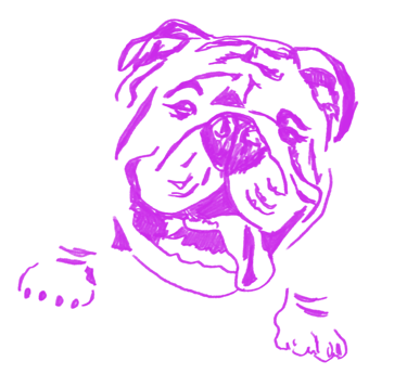 Violet line-art illustration of a bulldog – iconic PIECE OF K. branding mascot