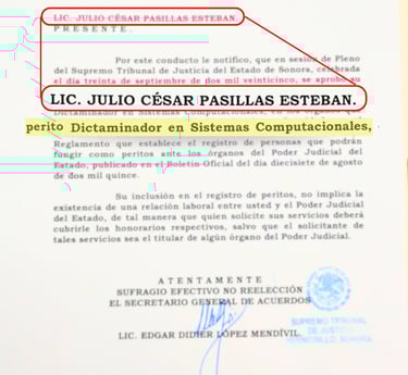 perito dictaminador julio pasillas