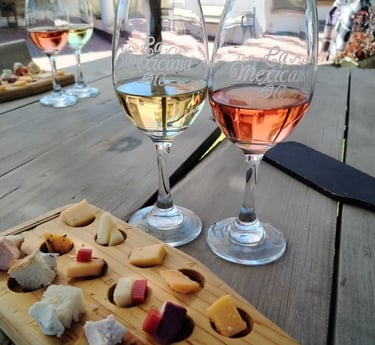 Copas de vino y tabla de quesos en experiencia enológica en Querétaro