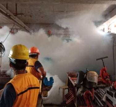 fogging for mosquitos