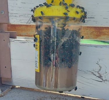 דותן המדביר - מדביר מורשה אור עקיבא