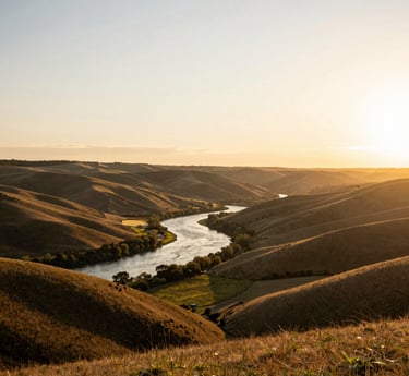 A warm, approachable consultant smiling confidently in a cozy office setting.