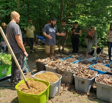 A group learns organic composting techniques using bins of dry leaves and green waste outdoors.