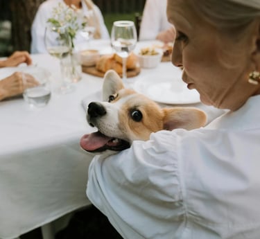 Chien épanoui dans les bras de sa maîtresse lors d'un repas de famille dans le jardin.