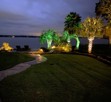 a pathway way with palm trees and lights