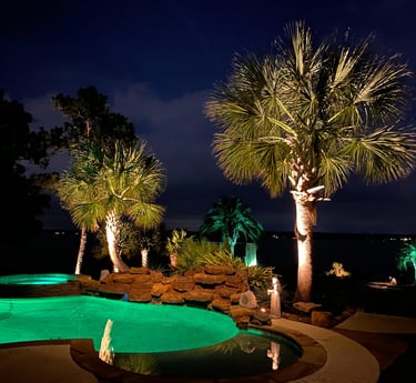 a pool with palm trees and a pool with landscape lighting