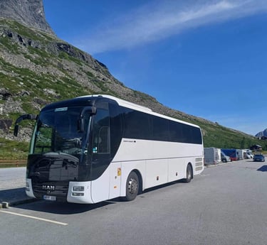 Autobuso nuoma Alytuje