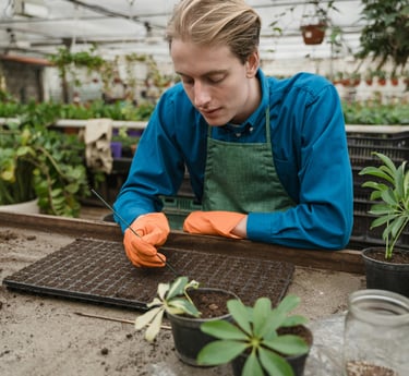 Commercial houseplant nursery with a worker planting seeds in a seedling tray