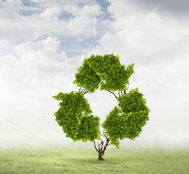 eco-friendly-house-clearance-birmingham