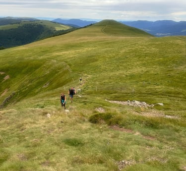 sentier sur les crêtes au milieu des pâturages sur les chaumes vosgiennes avec des randonneurs en ete 