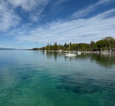 Geneva’s leading property search expert