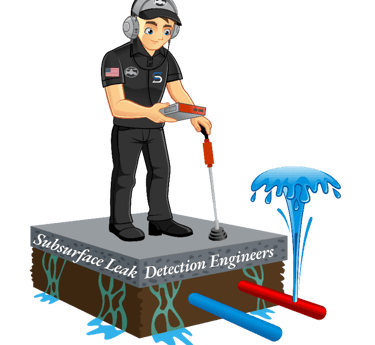 Subsurface Leak detection of Colorado Mascot