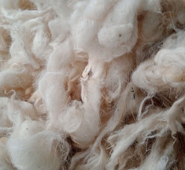 finest quality Tibetan wool - himalayacarpetnepal.com
