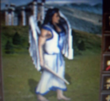 Essa e a foto de um Arancjo eu penso