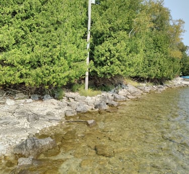 A rocky shoreline area that may be reviewed as part of a Natural Heritage Evaluation.