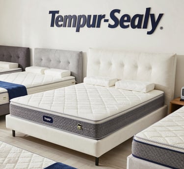 A warm, inviting small family store interior with neatly arranged appliances, furniture, and mattresses.
