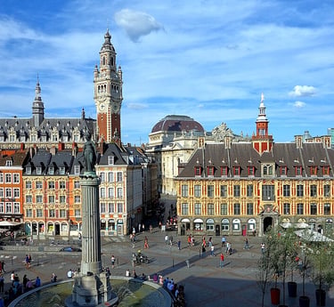 Diagnostic immobilier à Lille (59000) - DIXI Diagnostics