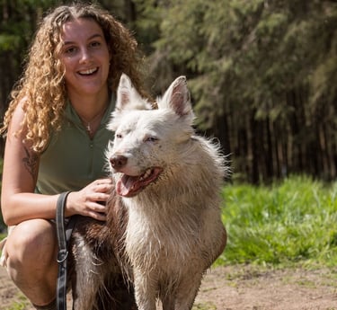 Maiya, a dog walker in harrogate, dog walking dogs in harrogate