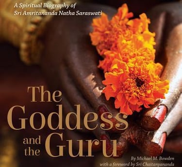the goddess and the guru book cover