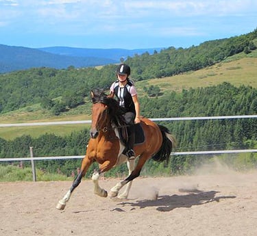 Jeune cavalier en formation à La Luc