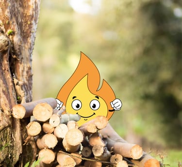 Maxima la petite flamme est derrière des bûches empilées