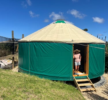 Our 8M yurt ready for your workshops