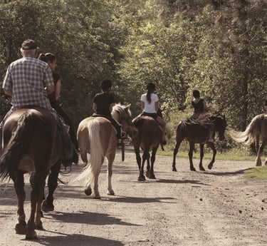smith land brownsburg-chatham