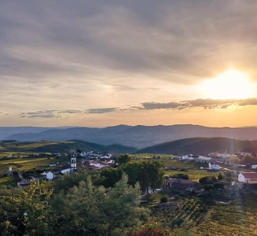 O Vale do Douro ao final da tarde, numa das épocas mais procuradas do ano.