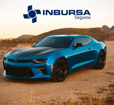 Seguro anual mexico Inbursa