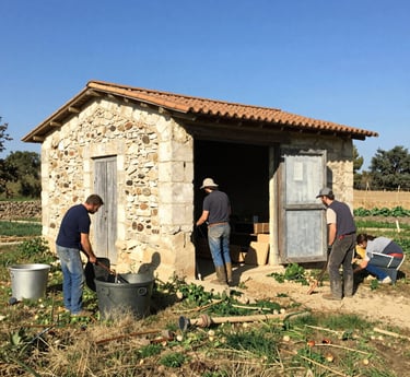 A skilled craftsman carefully restoring a charming Provencal home under warm sunlight.