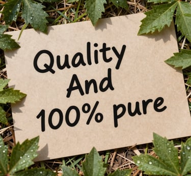 A warm, inviting workspace with a team collaborating enthusiastically around a wooden table.