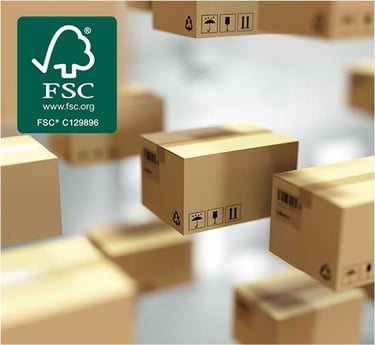 FSC Beagi