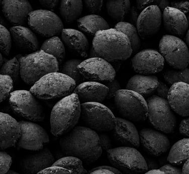 bbq briquette
