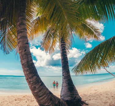 Saona Island 