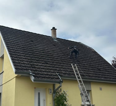 demoussage de toiture