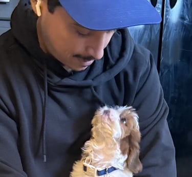 Beautiful brown and white registered designer breed Malshi puupy looking lovingly in to man eyes