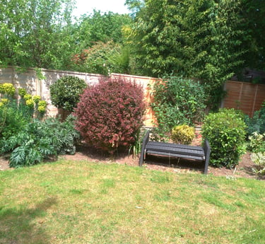 Backyard garden landscaping with a black wicker bench, green lawn, and lush shrubs by a fence.