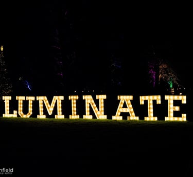 Luminate Image the words luminate in yellow against a dark background