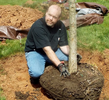 Christian Plunkett planting a tree