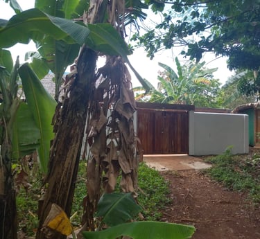 Callachuchi Homestay Entrance