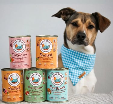 nourriture humide pour chien